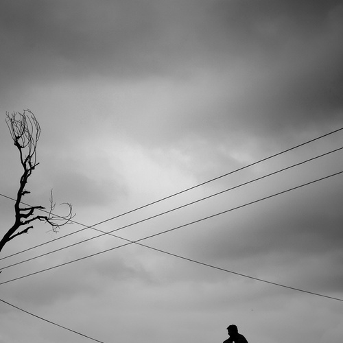 Photo #13858278