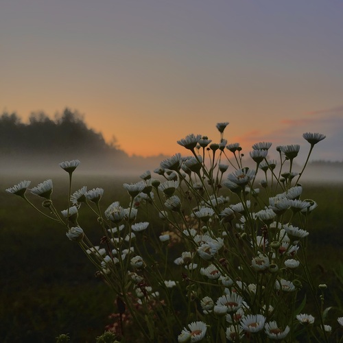 Photo #13858313