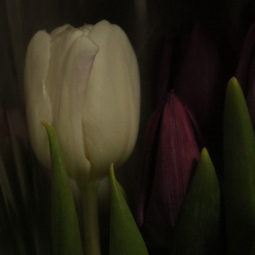 Photo #13858326