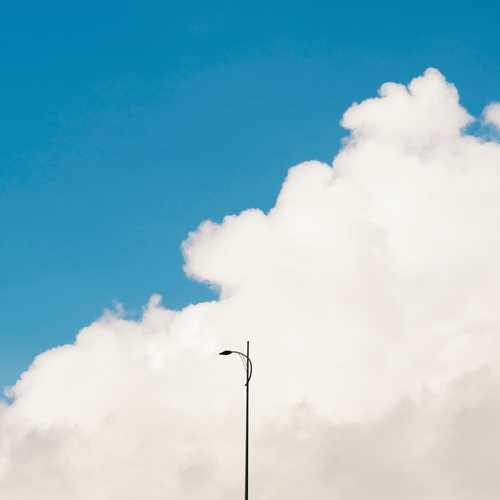 Photo #13858331