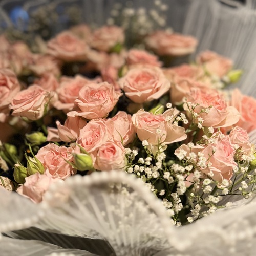 Photo #13858357