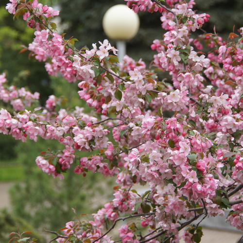 Photo #13858358