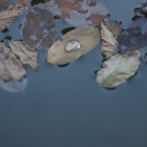 Photo #13858591