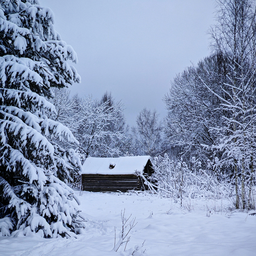 Photo #13858665