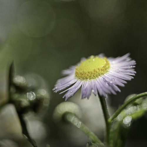 Photo #13858675