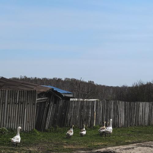 Photo #13858728