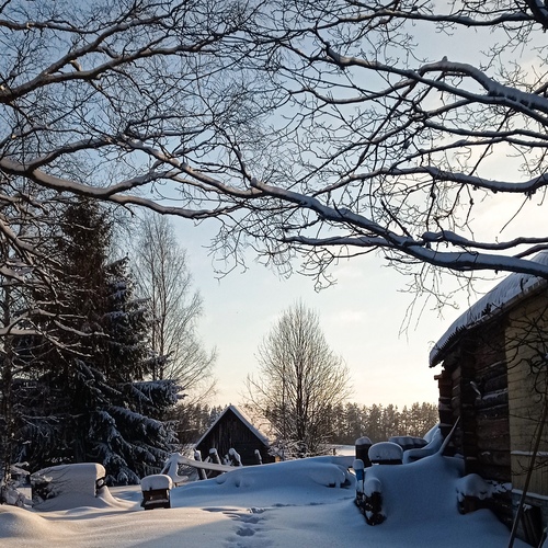 Photo #13858734
