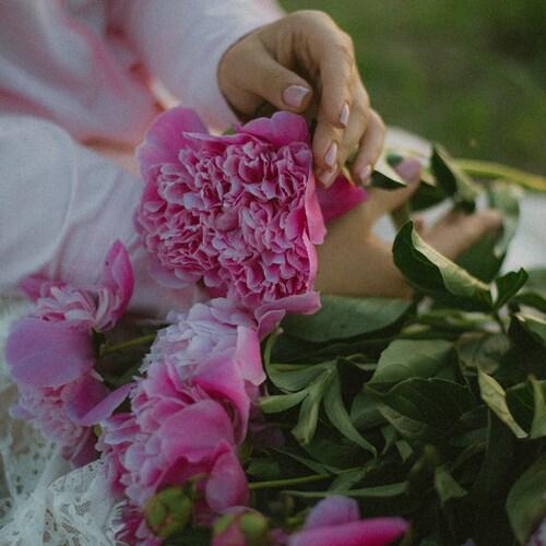 Photo #13858814