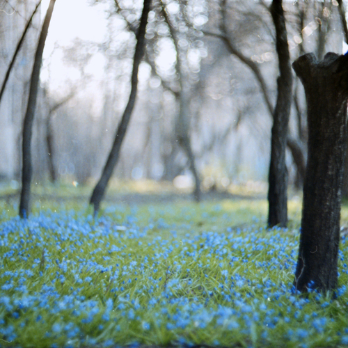 Photo #13858822