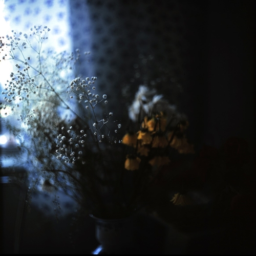 Photo #13858839
