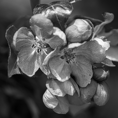 Photo #13858842