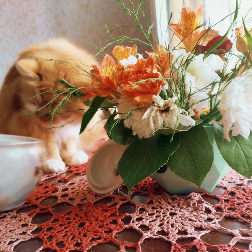 Photo #13858862