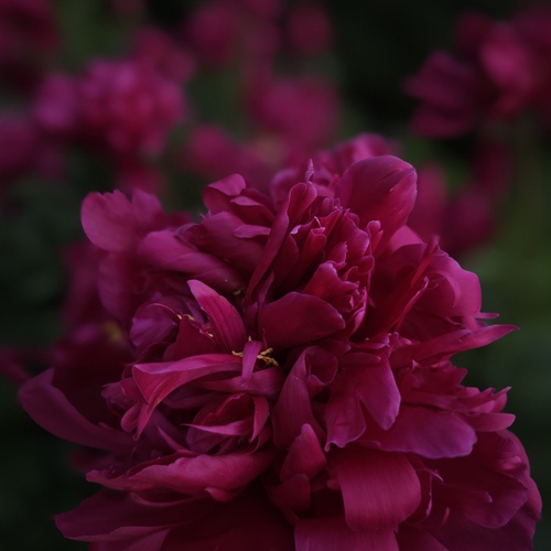Photo #13858926