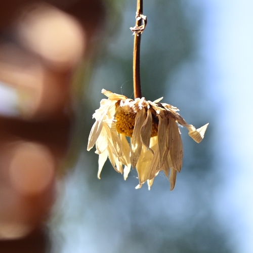 Photo #13858944