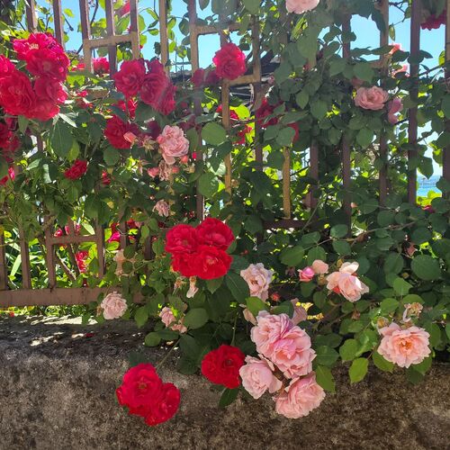 Photo #13858953