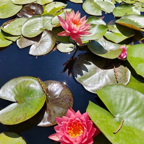 Photo #13858958