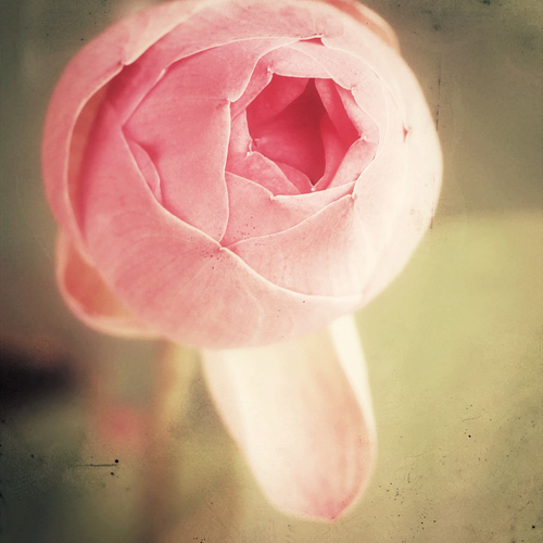 Photo #13858971