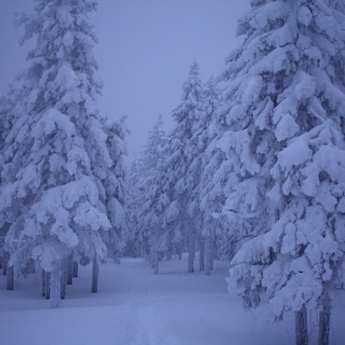 Photo #13859071