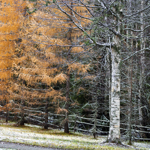 Photo #13859099