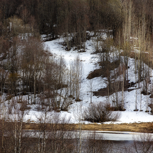 Photo #13859139