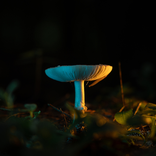 Photo #13859146