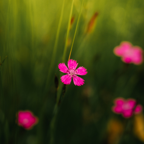Photo #13859158