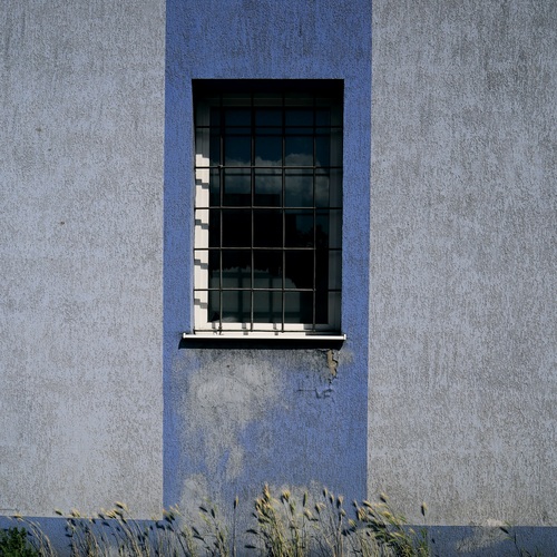 Photo #13859170