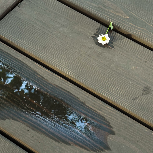 Photo #13859202