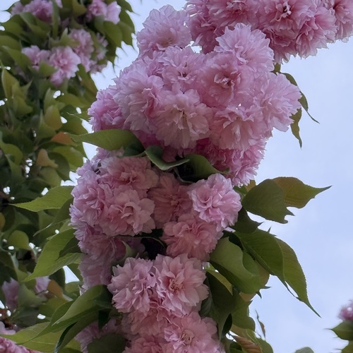 Photo #13859203