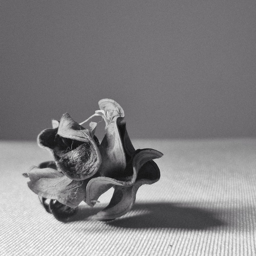 Photo #13859208