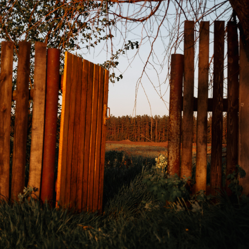 Photo #13859298