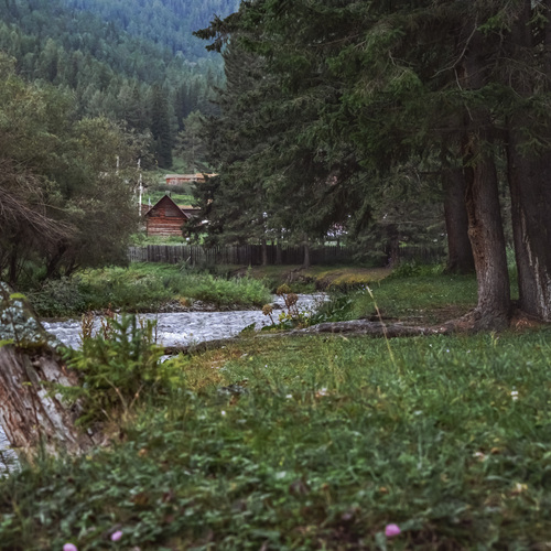 Photo #13859316
