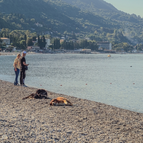 Photo #13859637