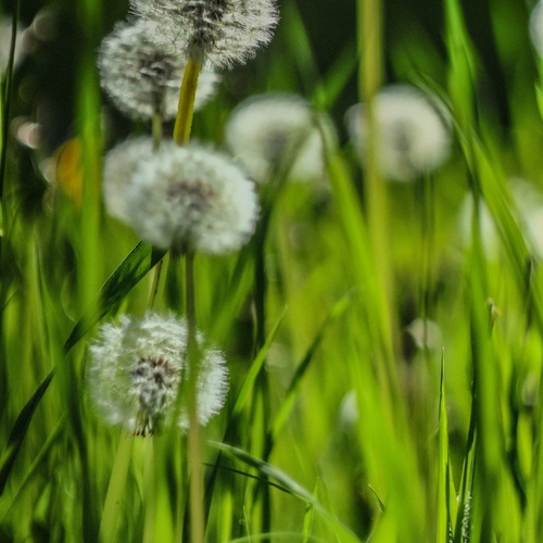 Photo #13859717