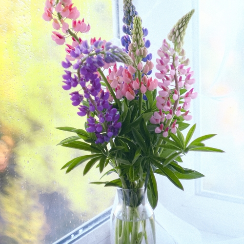 Photo #13859718