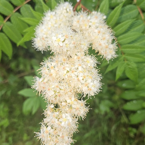 Photo #13859758