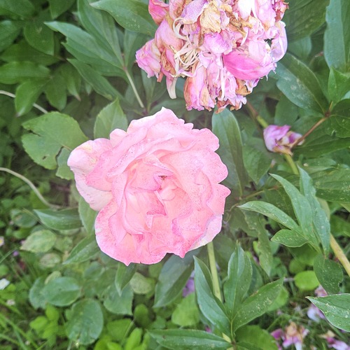 Photo #13859772