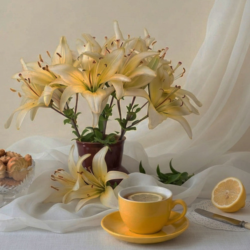 Photo #13859856