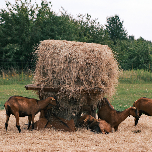 Photo #13859894