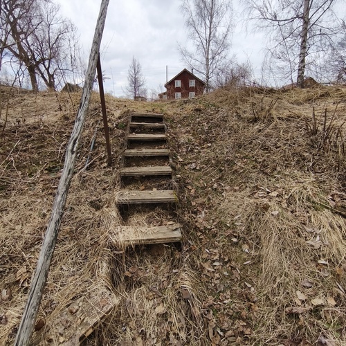 Photo #13859923