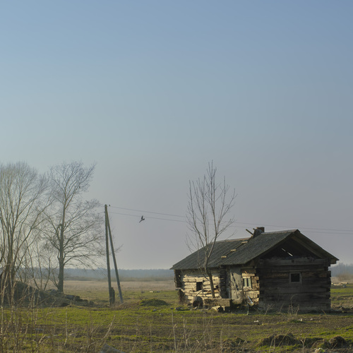 Photo #13859925