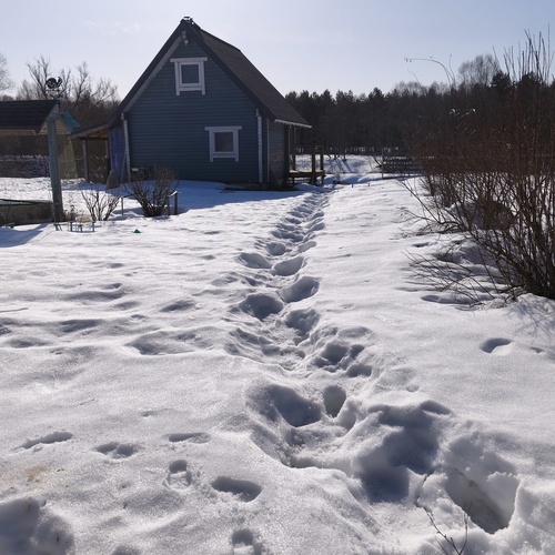 Photo #13859954