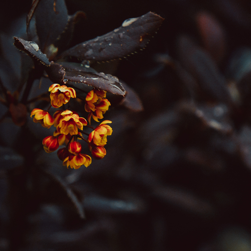 Photo #13859975