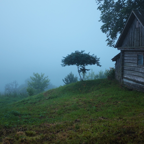 Photo #13860005