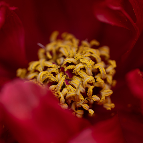 Photo #13860006