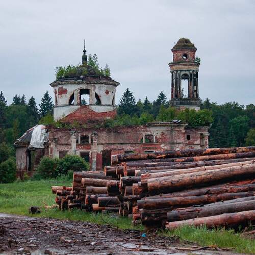 Photo #13860044