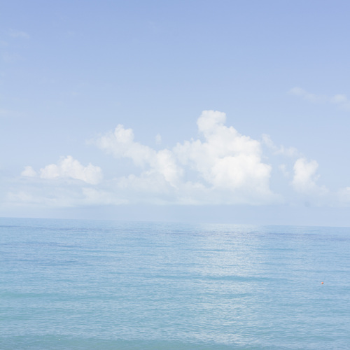 Photo #13860348