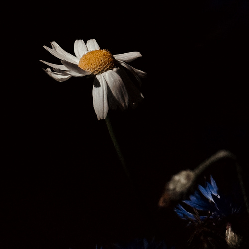 Photo #13860405