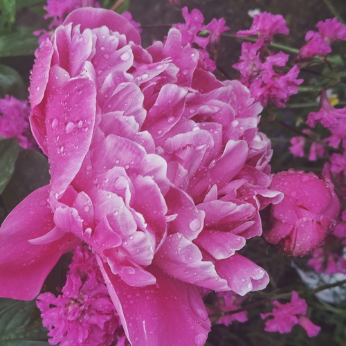 Photo #13860406