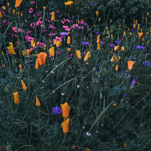 Photo #13860430